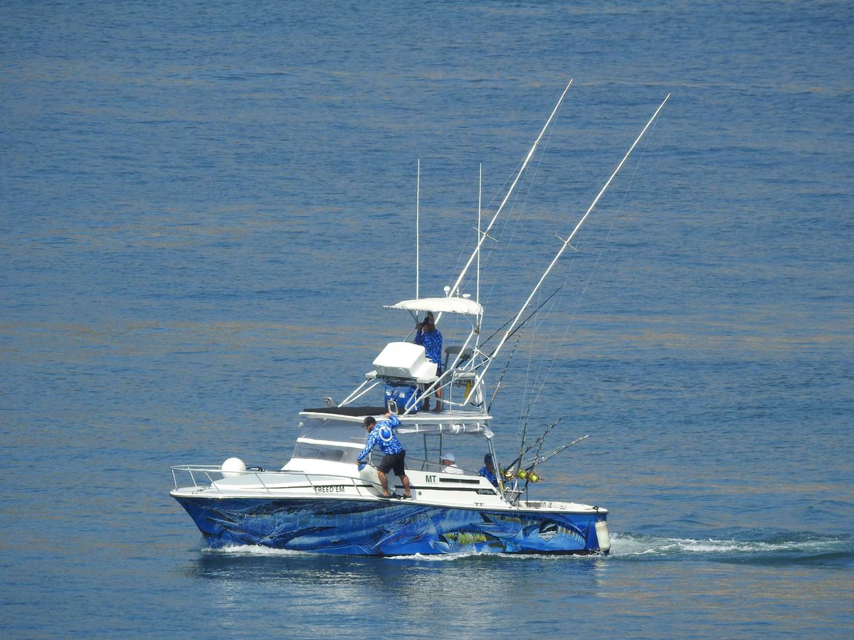 Blue Marlin com 378,5 kg dá título mundial deste ano para o Hawaii —