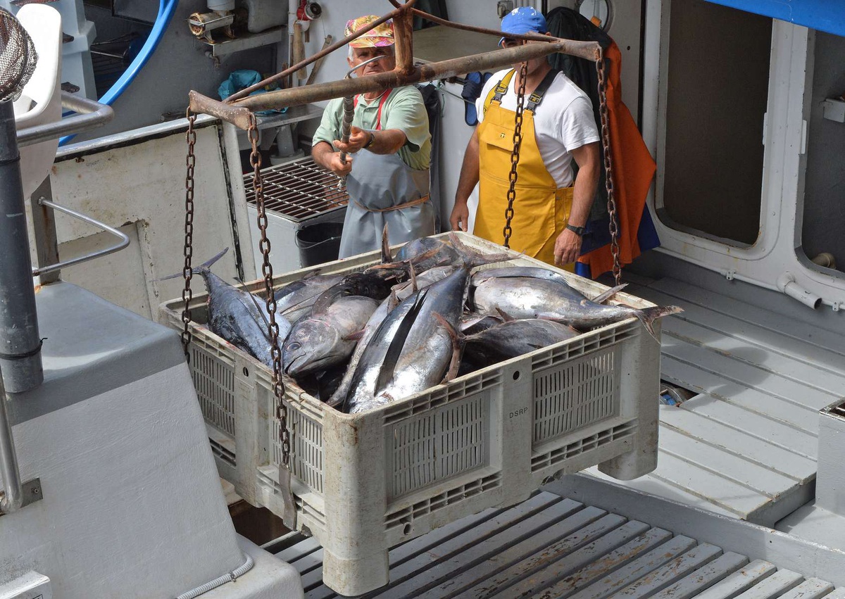 Fotos Arquivo/Aspress