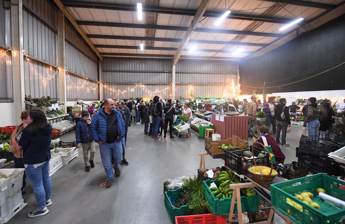 Foto Hélder Santos/ASPRESS