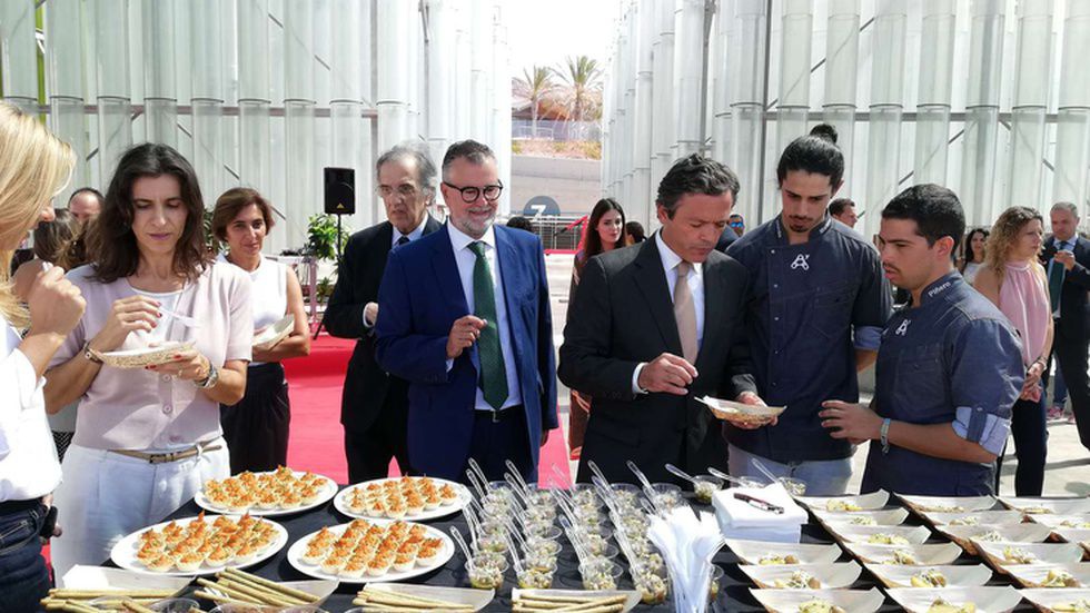 O projecto foi inaugurado 2008, como algo inovador e muito promissor.&nbsp;