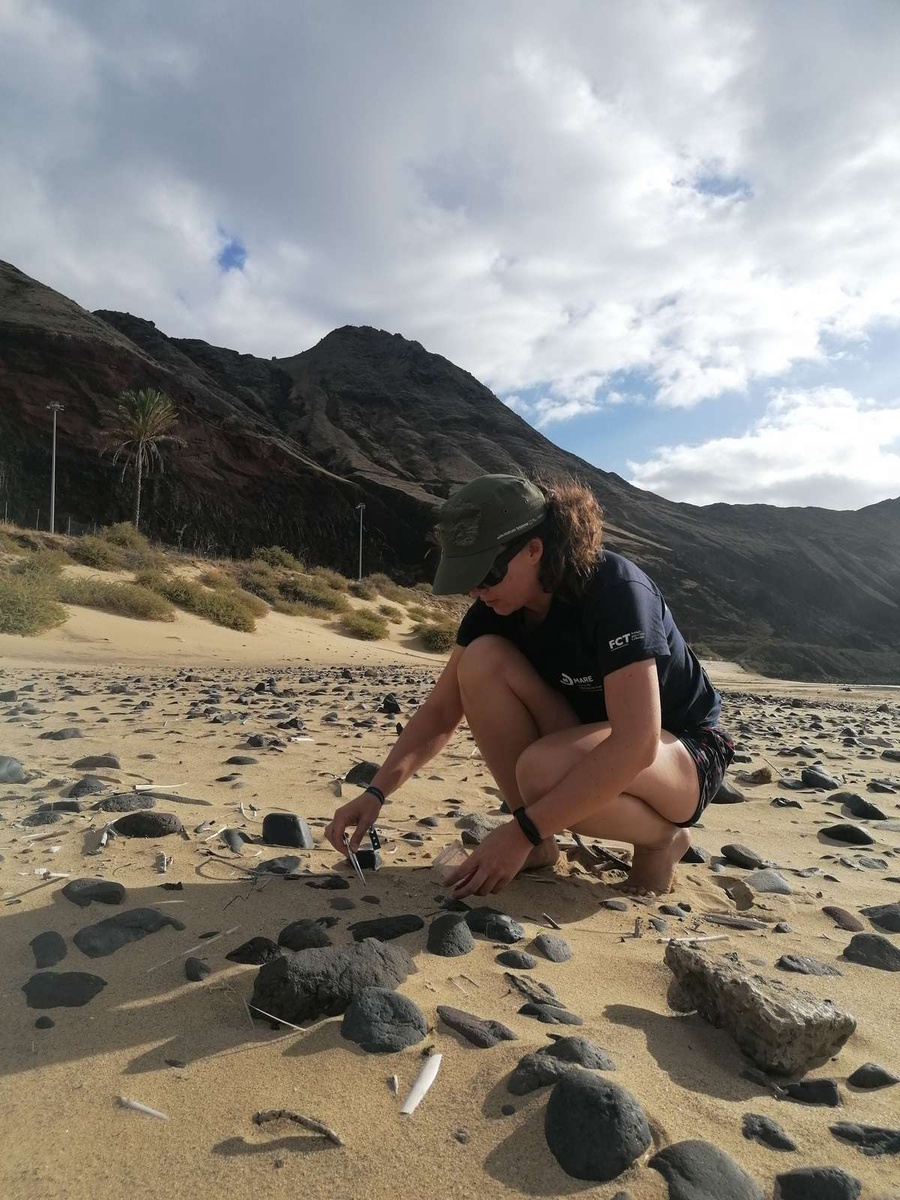 A praia das Docas, junto ao Porto de Abrigo, no Porto Santo, tem sido uma das que mais microplásticos apresenta.&nbsp;