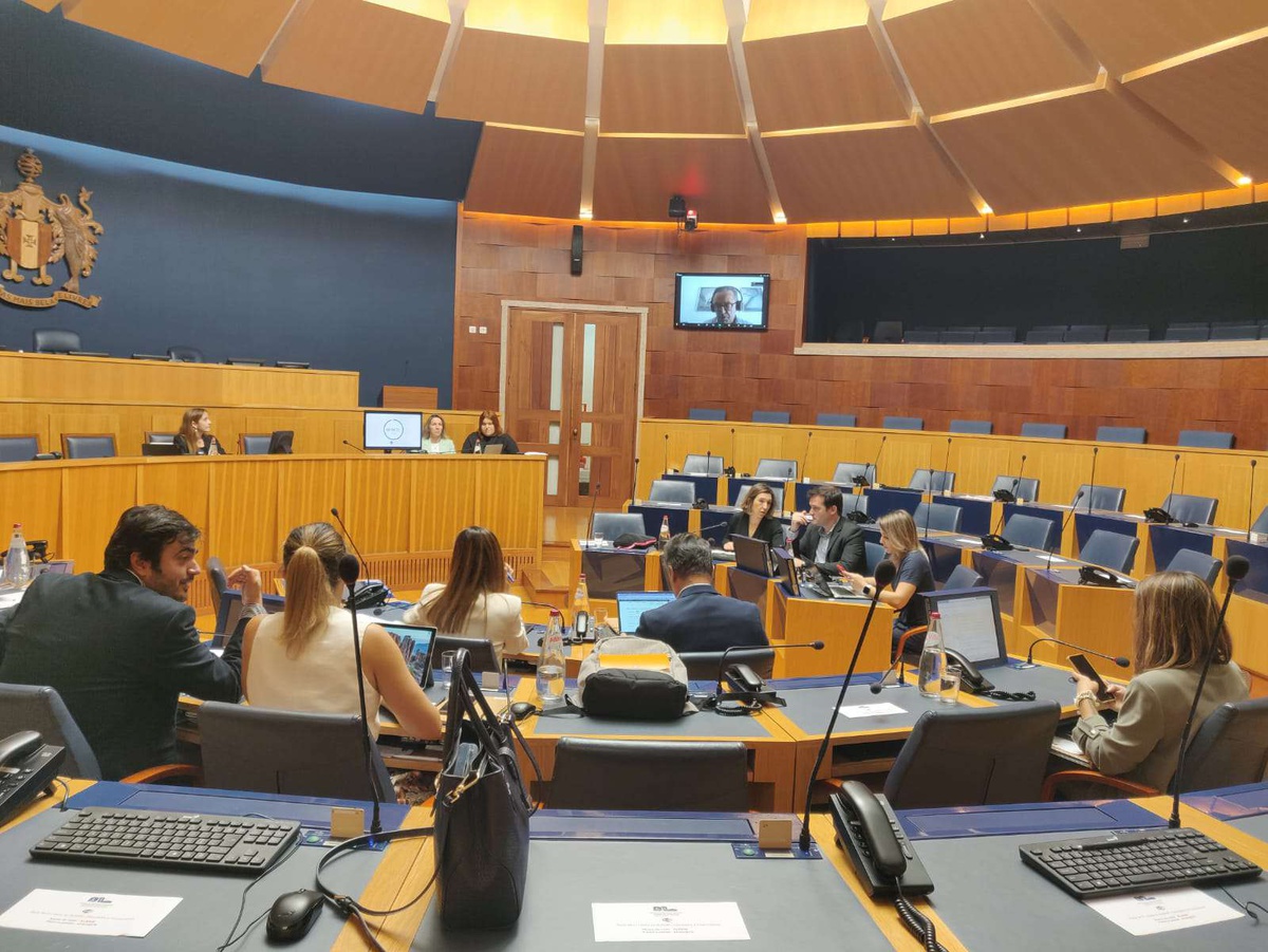 Permanent command structure in Civil Protection ‘essential’ • The ...