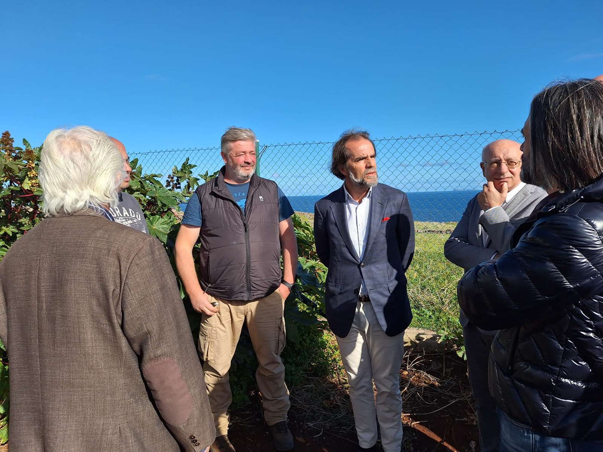 João Vieira destacou as dificuldades acrescidas com a produção da casta terrantez.