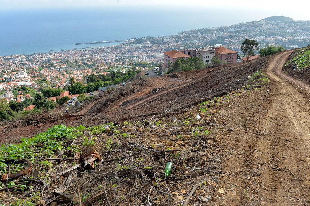 Em 2014, o SESARAM levou a cabo uma intervenção profunda nos terrenos que rodeiam o Hospital dos Marmeleiros.&nbsp;