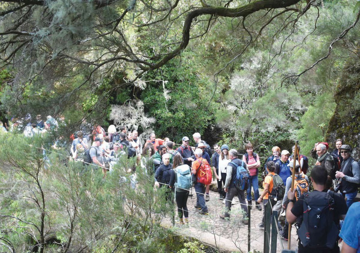 O aumento da procura pelo destino Madeira tem sido bastante evidente na afluência aos percursos pedestres.&nbsp;