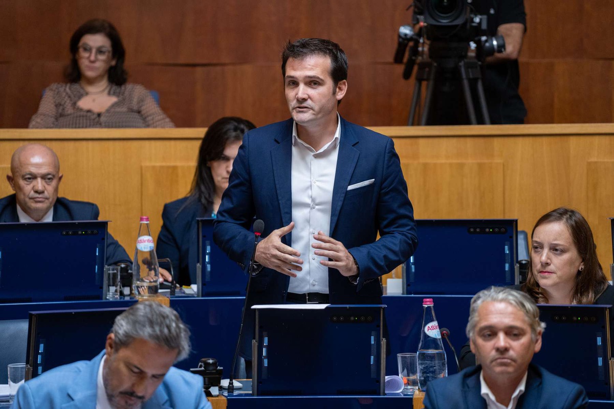 Rafael Nunes diz que secretária é "a grande responsável por este selvagem desmatamento de plantas nativas".