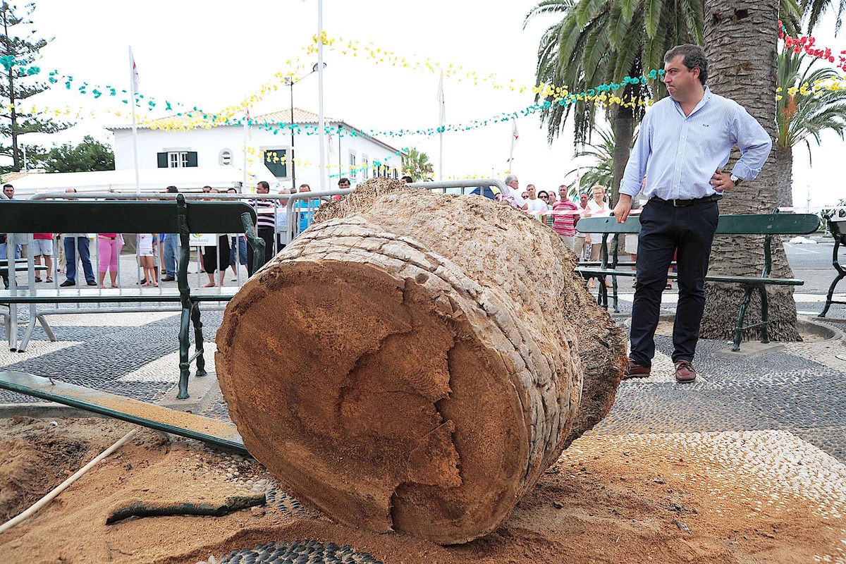 Roberto Silva foi condenado a três anos e meio de prisão com pena suspensa.