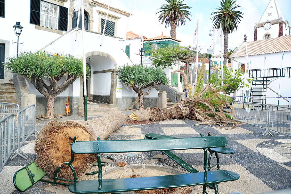 Famílias serão agora indemnizadas pelo Município.