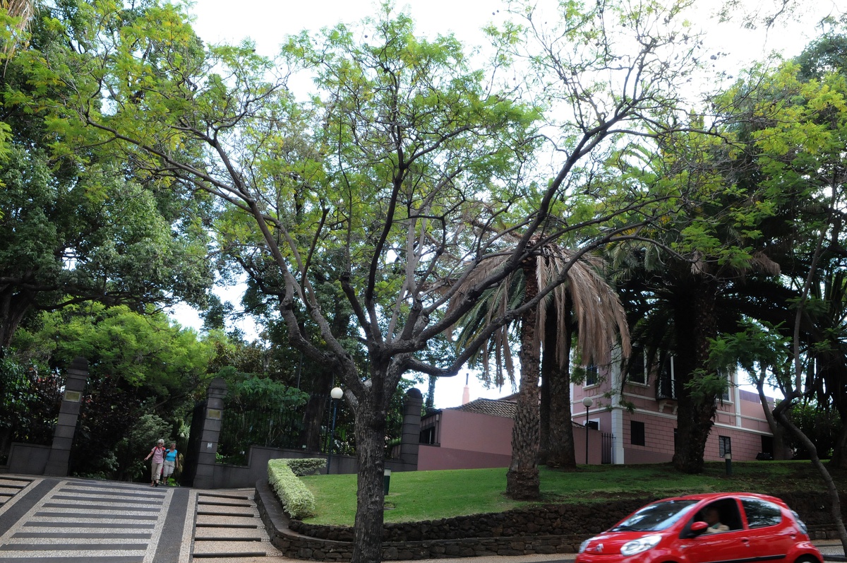 "Podemos é comparar aos Açores, que é uma Região Autónoma como a nossa".