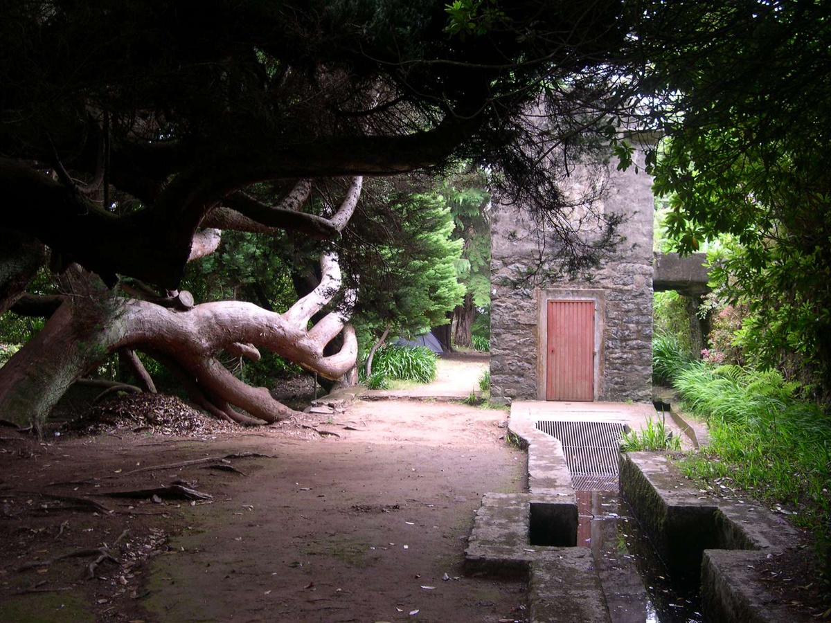 Levada da Serra do Faial, um dos canais que integram a lista candidata a Património Mundial.&nbsp;