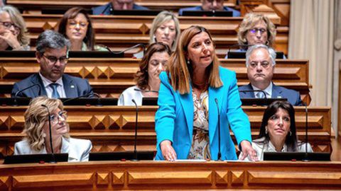 Sara Madruga da Costa irá 'defender' o Projecto de Lei do PSD, no próximo dia 4 de Julho.&nbsp;