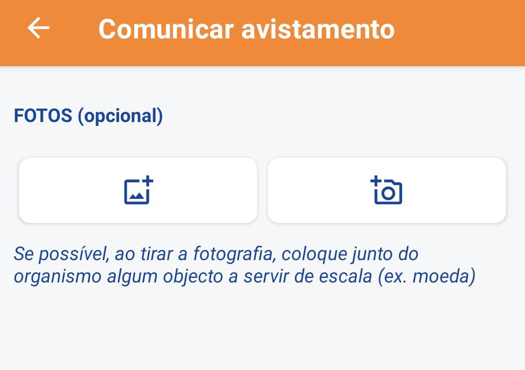 Quando for possível juntar uma imagem do organismo avistado no reporte feito, o cidadão é incentivado a colocar junto do mesmo algum objecto que possa servir de escala.&nbsp;