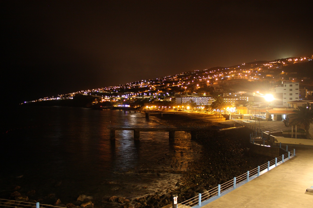 Foto DR/Tânia Costa/SPEA