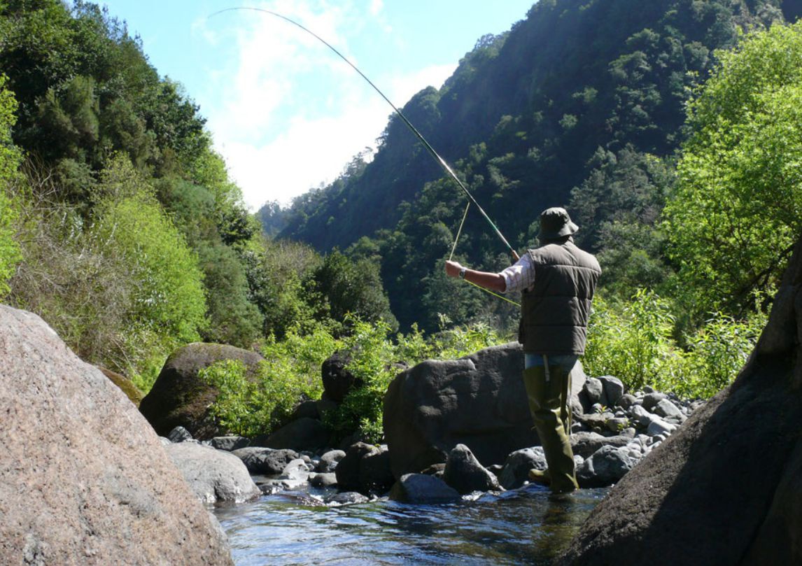 A pesca à truta pode ser feita em várias ribeiras da Região, carecendo de uma licença para a sua prática.&nbsp;