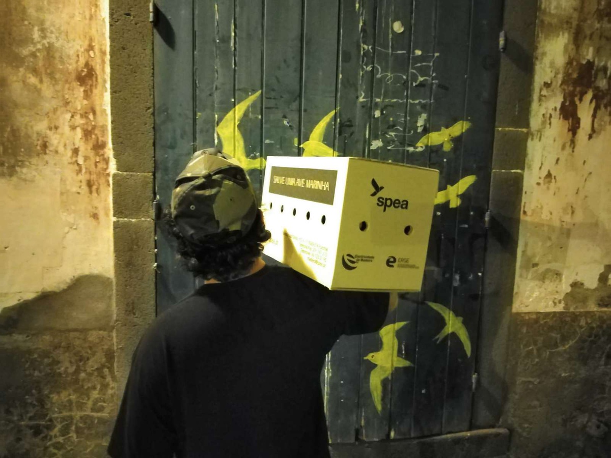 Foto DR/Elisa Teixeira