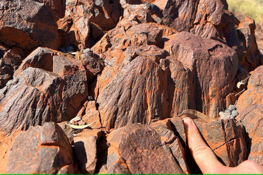 Foto&nbsp;Tim Johnson/Curtin University