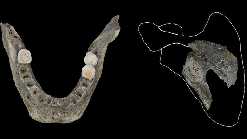 Foto DR/Antonio Rodríguez-Hidalgo/IAM