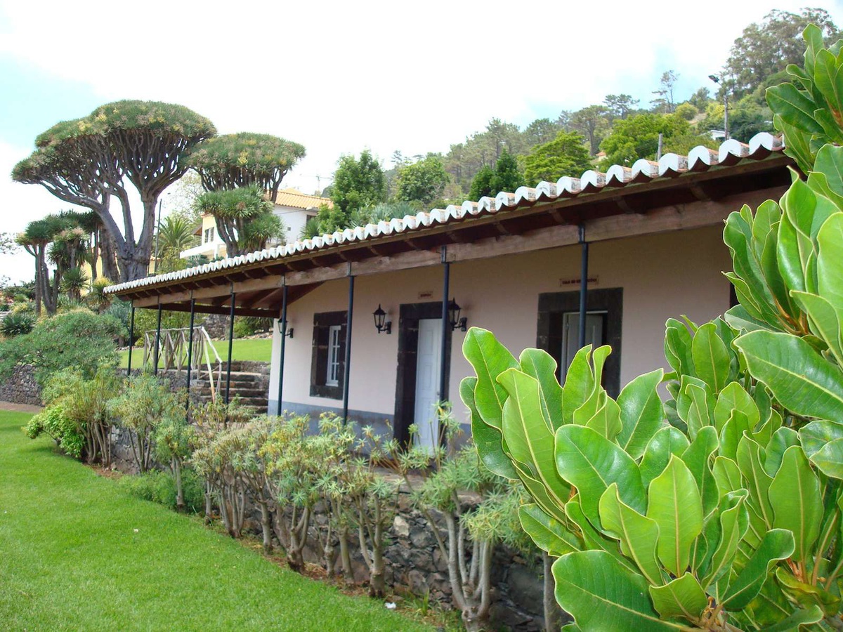 O
'Núcleo dos Dragoeiros' foi criando em 1996 com o objectivo primeiro de
preservar um conjunto de dragoeiros centenários que ali existem.&nbsp;