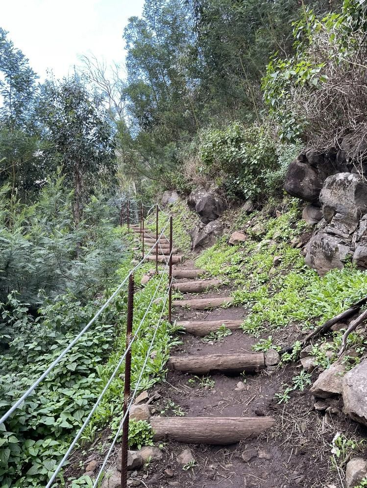 Em vários troços, as escadarias construídas ainda estão em bom estado.&nbsp;
