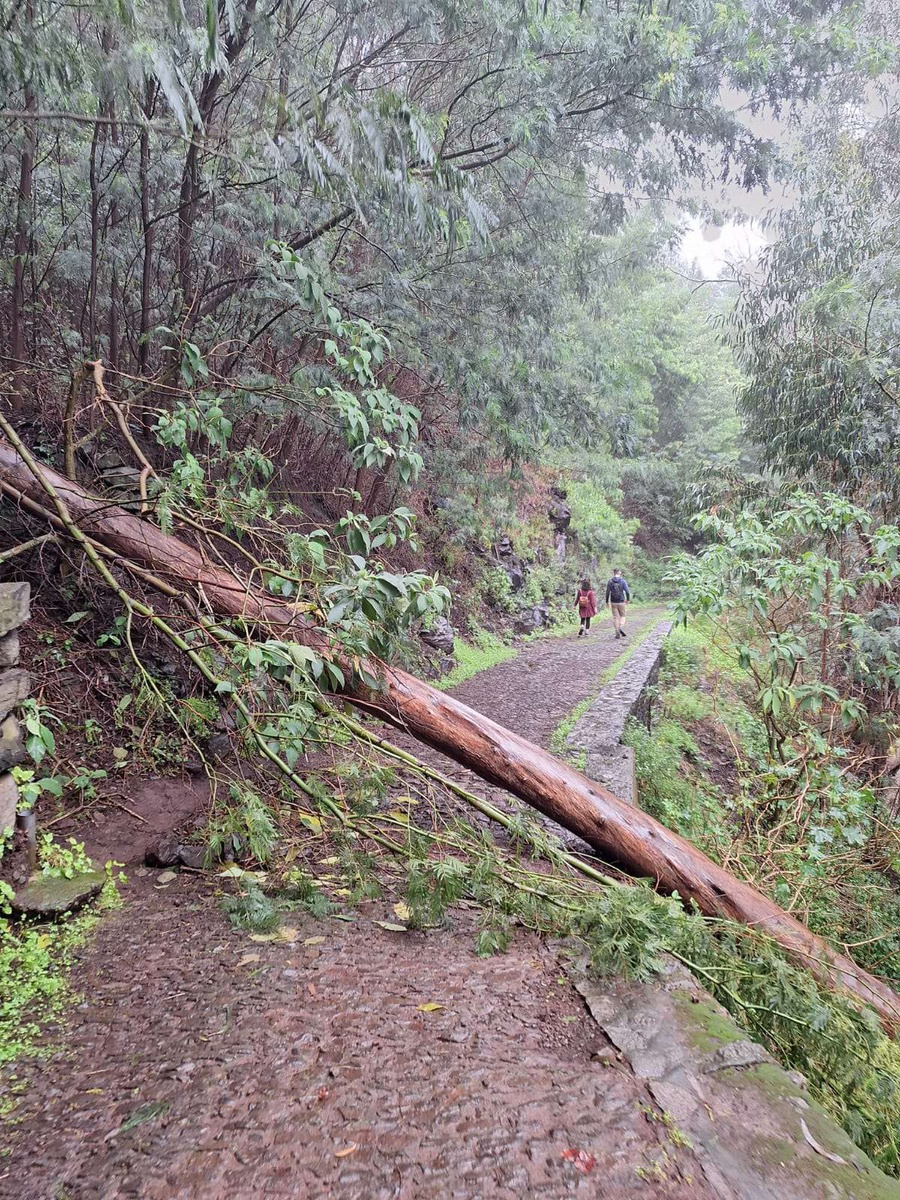 AS chuvas dos últimos dias causaram alguns estragos no percurso entre as Babosas e o Curral dos Romeiros, como queda de árvores ou de pedras, o que não impede a passagem dos caminheiros.&nbsp;