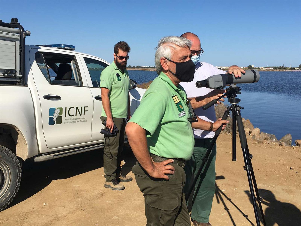 Vigilantes da natureza em Portugal continental.&nbsp;