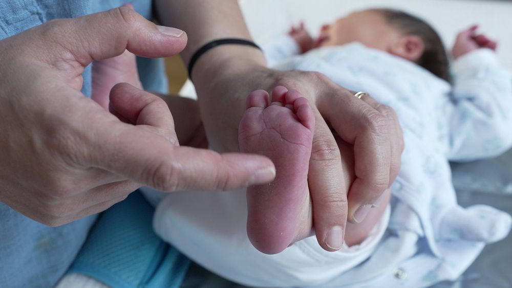 Nos primeiros três meses deste ano, foram realizados 428 'testes dos pezinho' na Madeira.