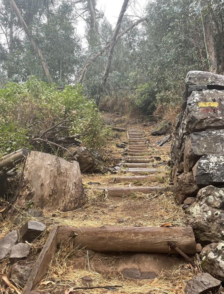 O percurso ao longo da Levada do Bom Sucesso e do denominado 'Corredor Verde' que percorre a margem esquerda da Ribeira de João Gomes já fez parte dos 'Percursos Pedonais Recomendados'.&nbsp;