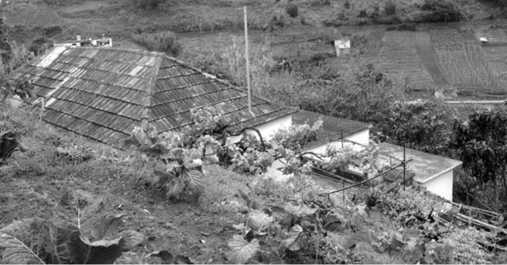 A casa onde
o arguido vivia com o irmão, no sítio da Ribeira Tem-te Não Caias, no Porto da
Cruz. FOTO MÁRCIO BERENGUER