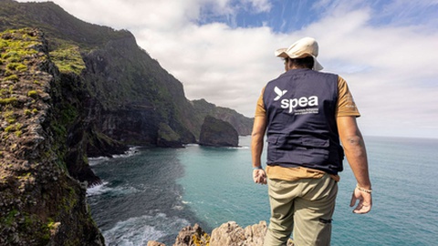 Foto DR/SPEA Madeira