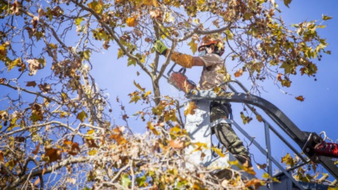 Foto André Ferreira / CMF