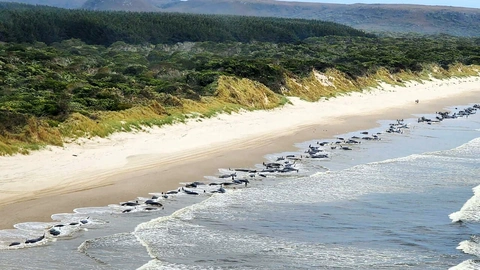 Foto&nbsp;AFP/HANDOUT