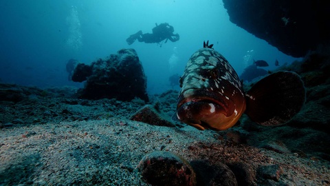 Fotos&nbsp;BenefitSuccess