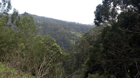 Foto arquivo/ Aspress