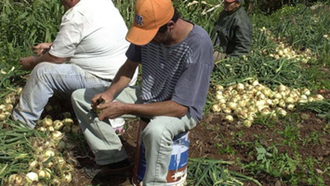 Foto Teresa Gonçalves/Arquivo DIÁRIO