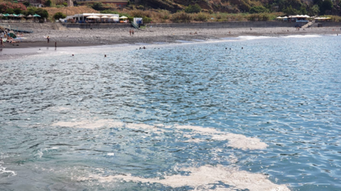 "Infelizmente continuamos a ser confrontados com sucessivos atentados ambientais".