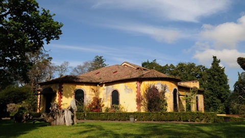 Antiga Quinta Jardins do Imperador ou do Monte foi consumida pelas chamas do grande incêndios de 2016.&nbsp;