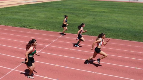 Atletas madeirenses irão lutar pelos títulos nacionais no Centro Desportivo da Madeira, na Ribeira Brava