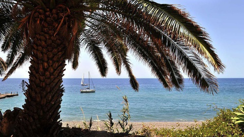 None