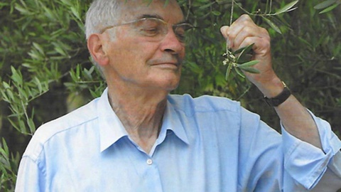 Fotografia da capa do livro Natal Verde - 30 anos de postais de Jorge Paiva