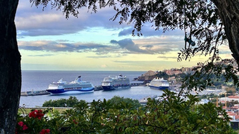 O&nbsp; ‘Mein Schiff 7’ está a realizar um cruzeiro de 14 dias. Chegou ontem ao porto do Funchal e saiu mais logo, pelas 14 horas.
