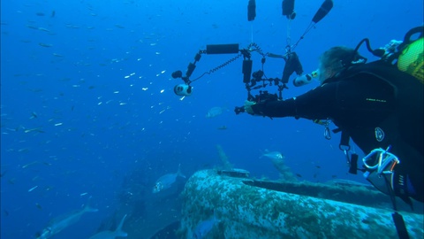 Imagens captadas durante o dia de hoje.