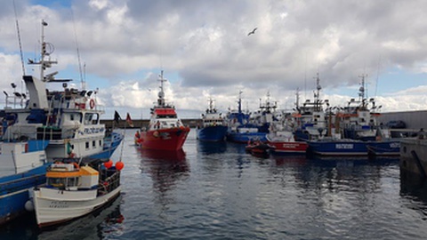 Porto de Pesca do Caniçal