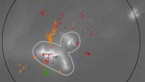 Actividade das descargas eléctricas atmosféricas registada este domingo na Região da Madeira (raio de 200 km)