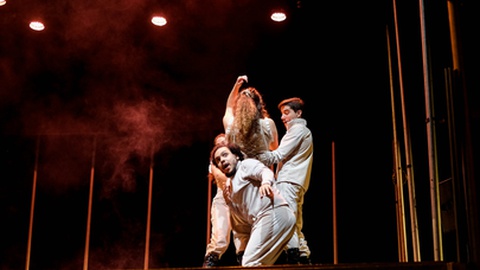 Sessão da próxima quarta-feira, 13 de Abril, conta com audiodescrição e Língua Gestual Portuguesa