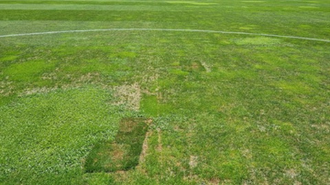 Foto Liga Portugal
