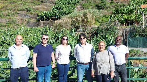 Foto DR/MPT Madeira/Facebook