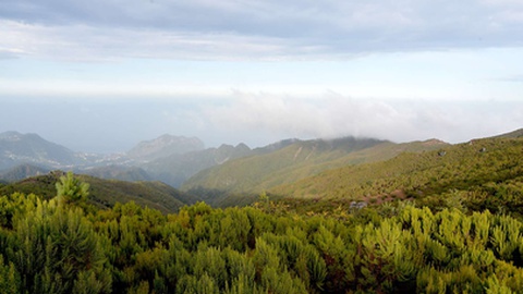 Santo da Serra&nbsp;