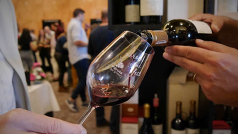 Fotografias da edição do ano passado.&nbsp; Fotos DR/Pérola dos Vinhos