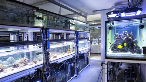 Foto&nbsp;Maria João Gala/Global Imagens