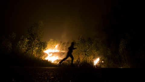 O incêndio em Pedrógão Grande eclodiu a 19 de Junho de 2017.&nbsp; &nbsp;Foto Arquivo/Rui Oliveira/Global Imagens